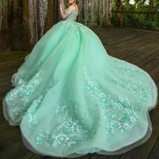 Mint Green Quinceanera Dresses Ball Gown Applique Lace Birthday Payty Sweet 16