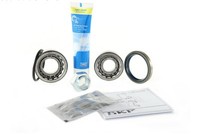 SKF Radlagersatz, Classic Vkba 9013 CL