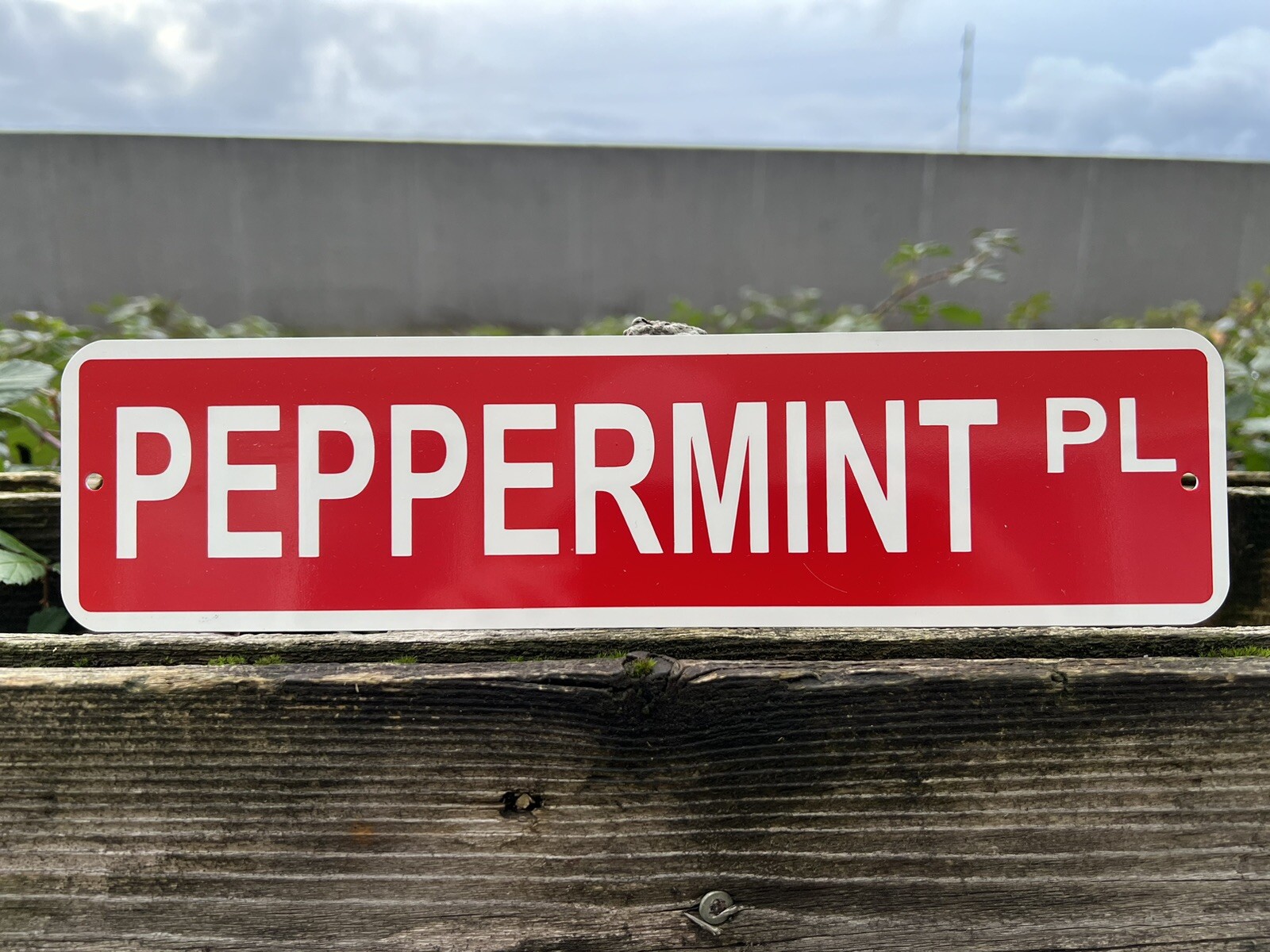 Peppermint Place Metal Christmas Street Sign decor 3”x12” (NEW)