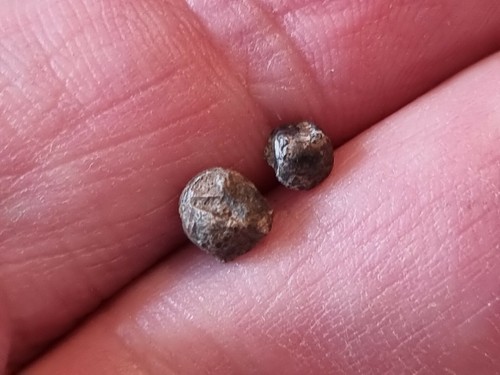Exceptional Very Rare Viking polyhedral weights. A must read description LA108o