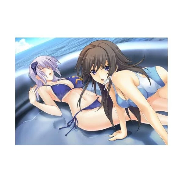 Muv-Luv Alternative Total Eclipse Windows PC Game Software 43173-485161 NEW - Image 4 of 4