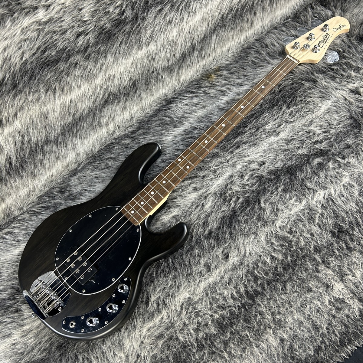 ベース Sterling stingray SUB Ray4 Black SUB Series StingRay – Sterling by Music Man