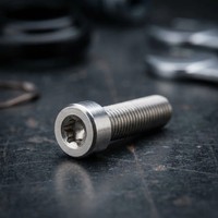 Sram Schaltwerkbefestigungsschraube XX1, X01, X1 Mit Begrenzungsschraube T25 ...