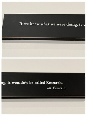Albert Einstein Wooden Home Decor Sign ''It Wouldn't Be Research'' 20 in