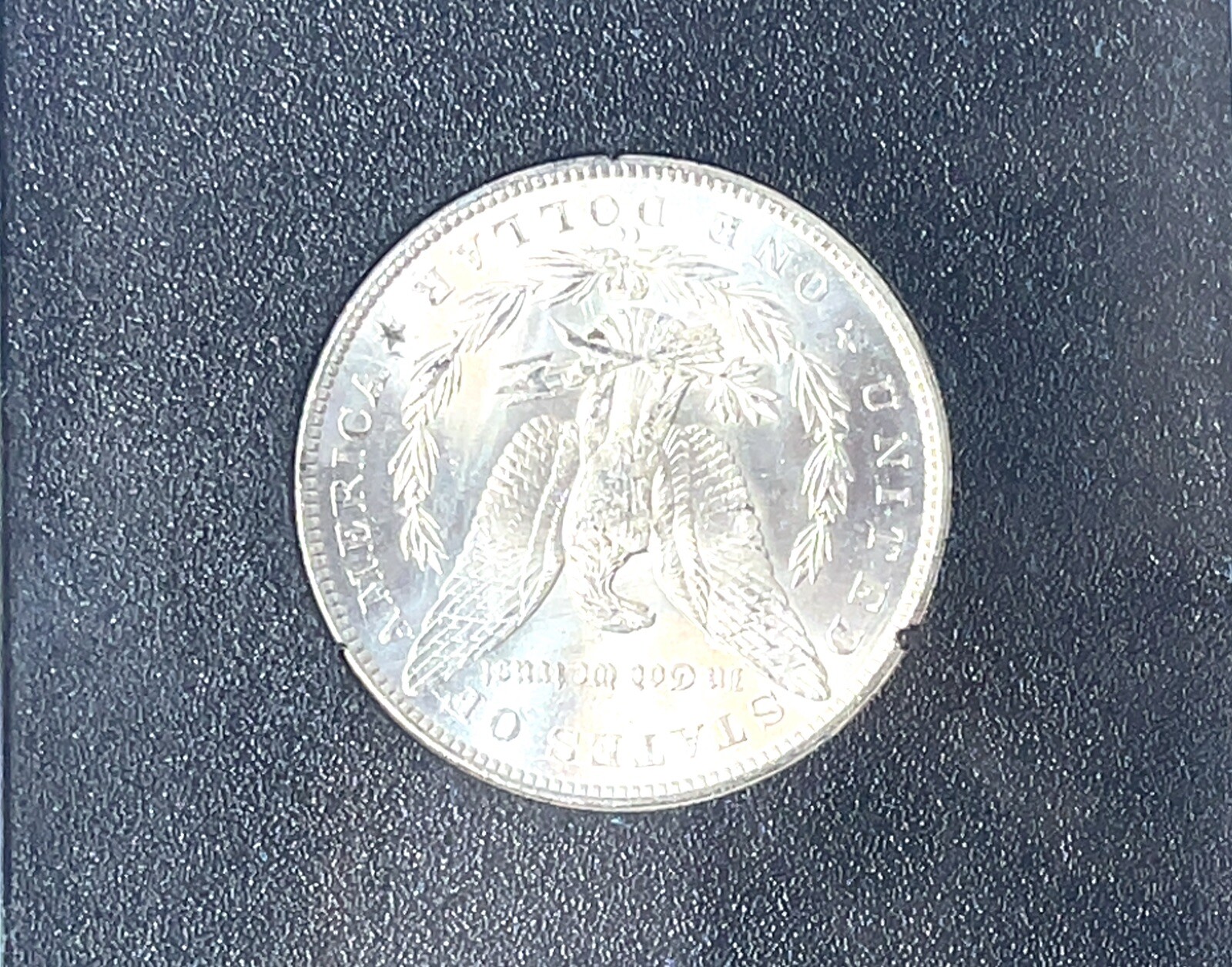 Picture 3 of 7