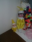 Foto 6 di 12