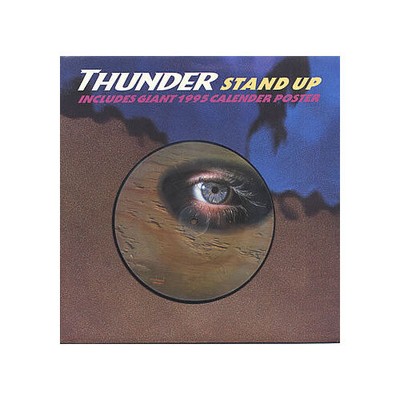 Thunder - Stand Up (VINYL)