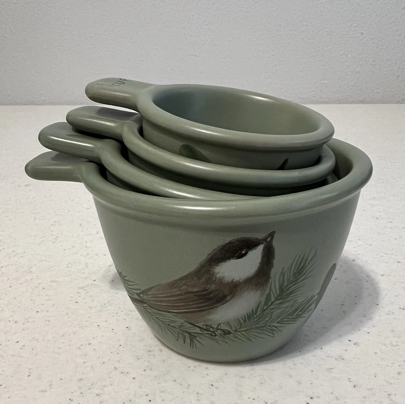 Pfaltzgraff Winterwood Sage Green Measuring Cups Set Of 4 Bird Flower Pinecone
Opens in a new window