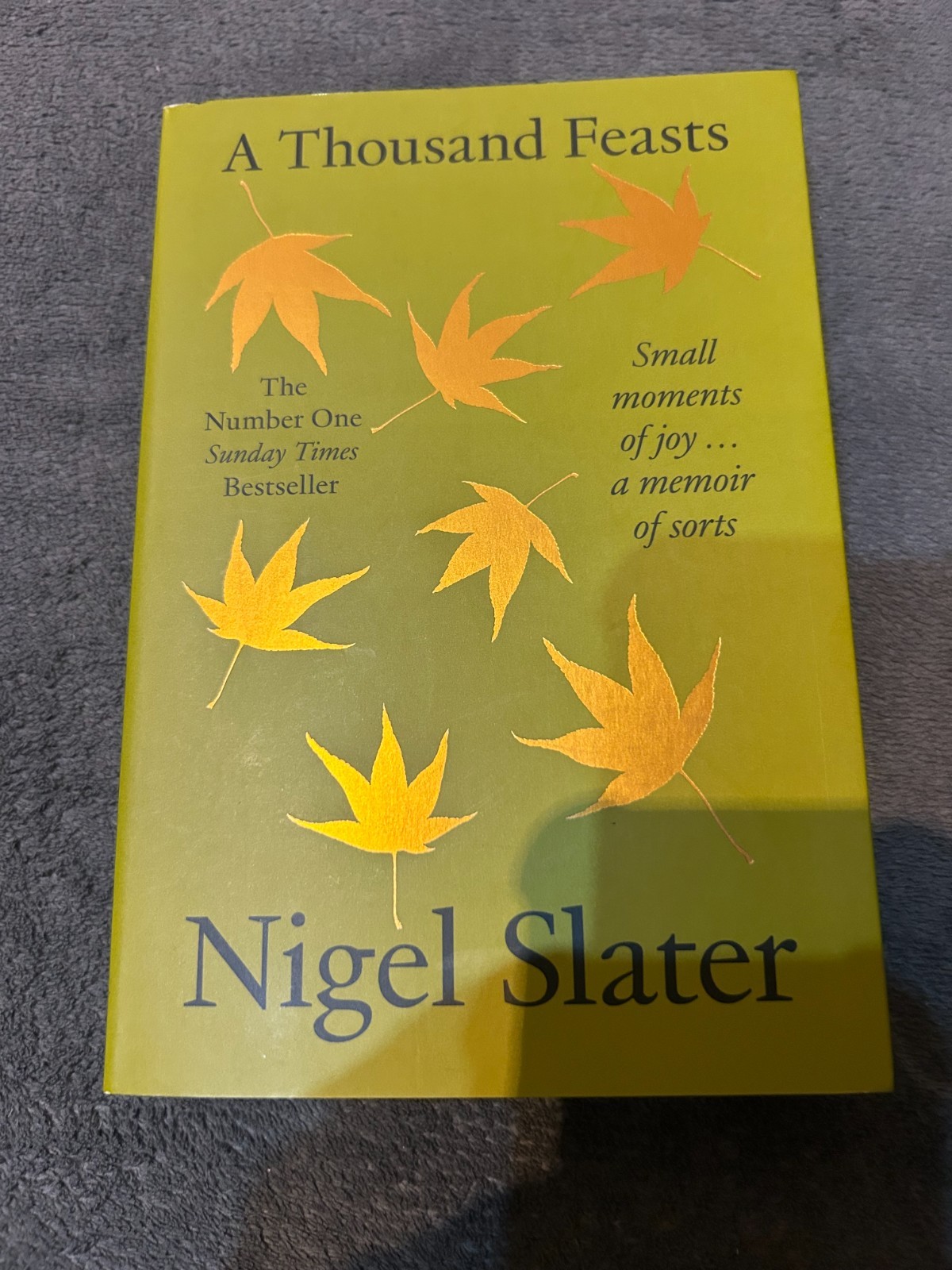 A Thousand Feasts by Nigel Slater (Paperback Book) NEW - Free P+P