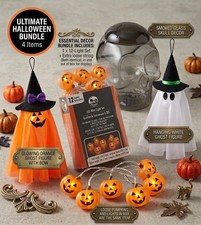    4-Piece Spooky Halloween Decor Lot: LED Pumpkin Lights, 2 Ghosts, Skull Jar