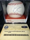 Dustin Pedroia Signed Baseball Boston Red Sox MLB Steiner Sports COA