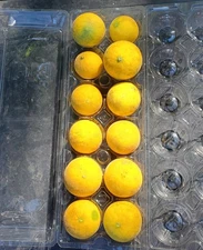 SEEDS - Poncirus Trifoliata LIMITED TIME ONLY!!! 1 LB HARDY ORANGES 12 CT =150+ 