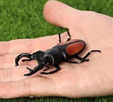 Stag Beetle Insect Wild Animal Figure Toy PVC Doll Small Figurine Birthday Gifts