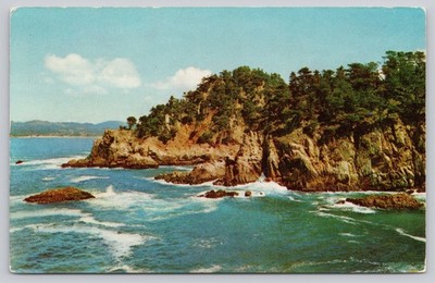 Vintage 1960 Point Lobos State Park California Solithco Postcard Boy Scout Stamp
