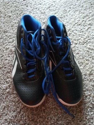 reebok zig pro future