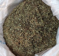 CHANCA PIEDRA HERBAL TEA 1 LB HERB TEA VALUE PACK FAST SHIPPING 