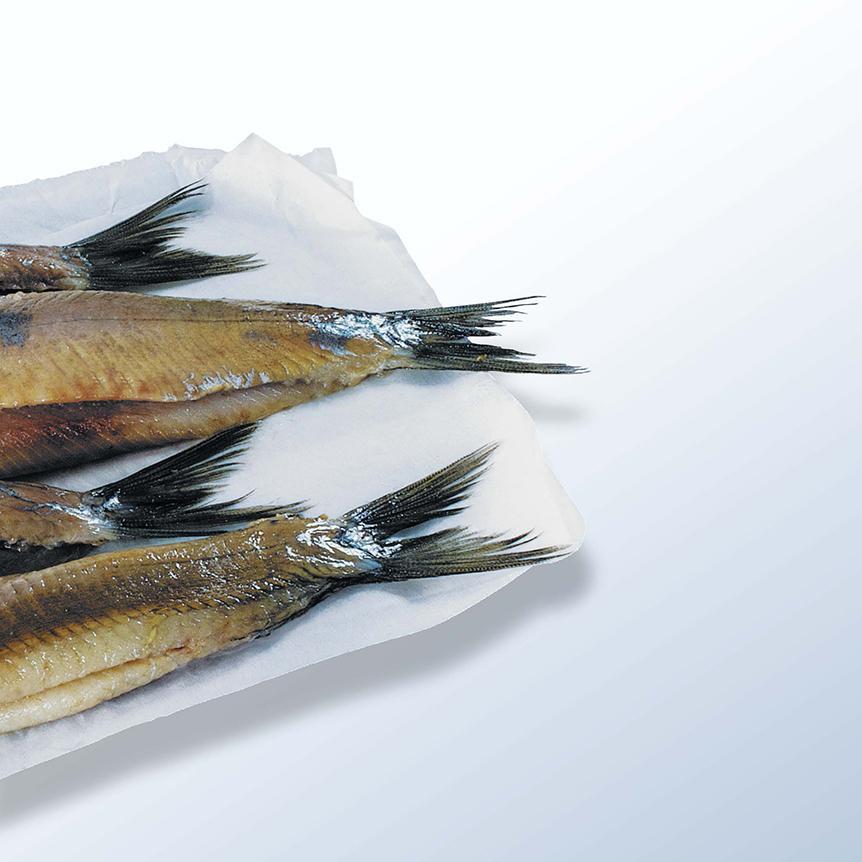 Thumbnail - Matjes, Günter Pump