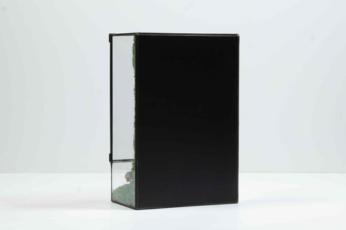 Moss Box Terrarium A Ready-Assembled Geometric Green Centrepiece with Preserved - Picture 8 of 9