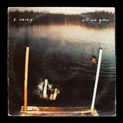 S. Carey, S Carey: All We Grow (ltd. Ten Year Anniversary Edition) - 375 Media 