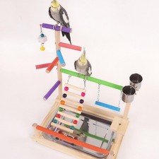 Parrot Playstand with Ladder Parrot Playground for Macaws Budgie Small Birds