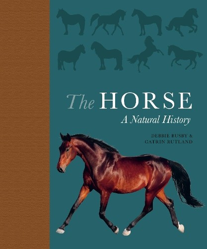 Debbie Busby Catrin Rutland The Horse (Copertina rigida)