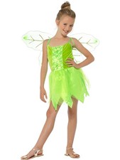 Enchanted Woodland Fairy Girl's Costume