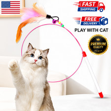 Interactive Cat Wand Toy with Feathers  Bell Flexible Teaser Wand for Cat