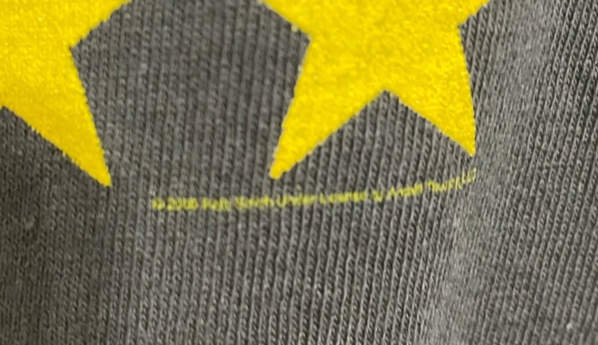 VTG 2000 Patti Smith Gung Ho Tour Shirt XL + 2 CDs Album & Promo Set Y2K Punk - Image 4 of 4