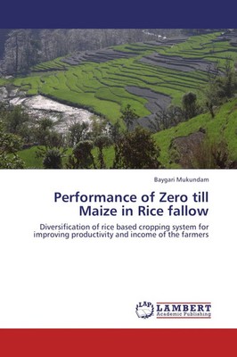 Performance of Zero till Maize in Rice fallow Baygari Mukundam Taschenbuch 80 S.