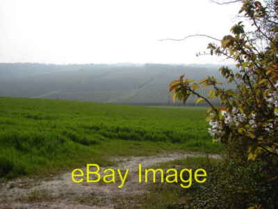 Photo 6x4 Commercial orchard Rhode Common Taken from the Eastern slope lo c2007