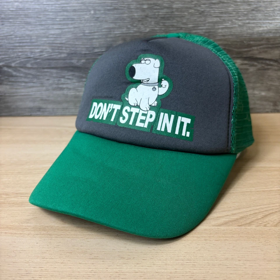 Gorra de hombre de familia Snapback verde camionero cerebro zorro espectáculo de dibujos animados ajustable Foto 3 de 4