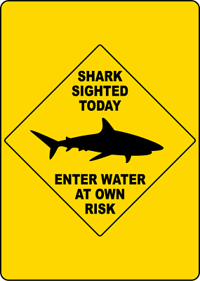 #ad SHARK SIGHTED TODAY ENTER WATER AT OWN RISK Adhesive Vinyl Sign Decal $8.99