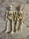 Halloween Human Skeleton Poseable Movable Skull Figures 6 inch (2)