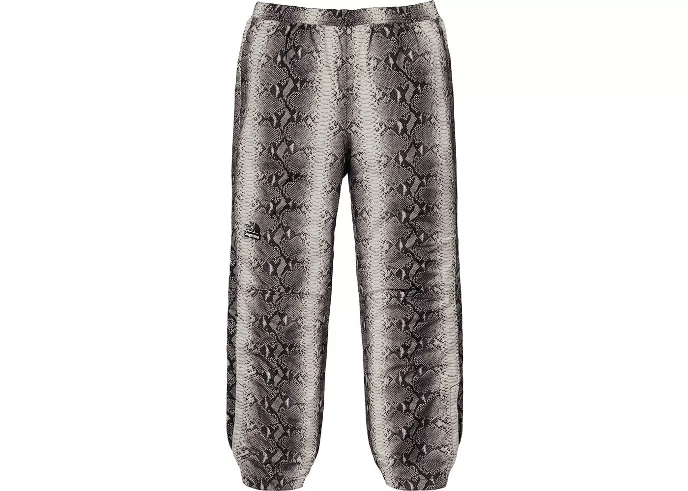 Supreme SS18 The North Face peau de serpent M boîte pantalon de pluie noir logo S