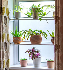 WindowSHELF Slimline DOUBLE. Fits most UK windows up to 100cm. No drill fitting.