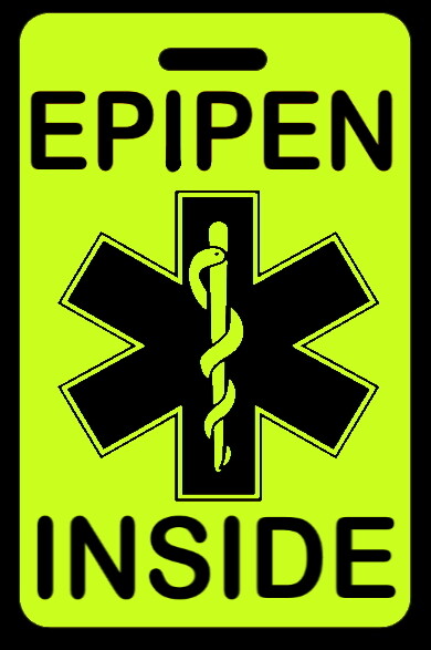 Epipen Keyring - School Bag Lunch Box Tag Medical Bag - Foto 9