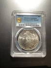 Beautiful MORGAN SILVER DOLLAR PCGS GRADED 1881-S Genuine Scrape-UNC Detail