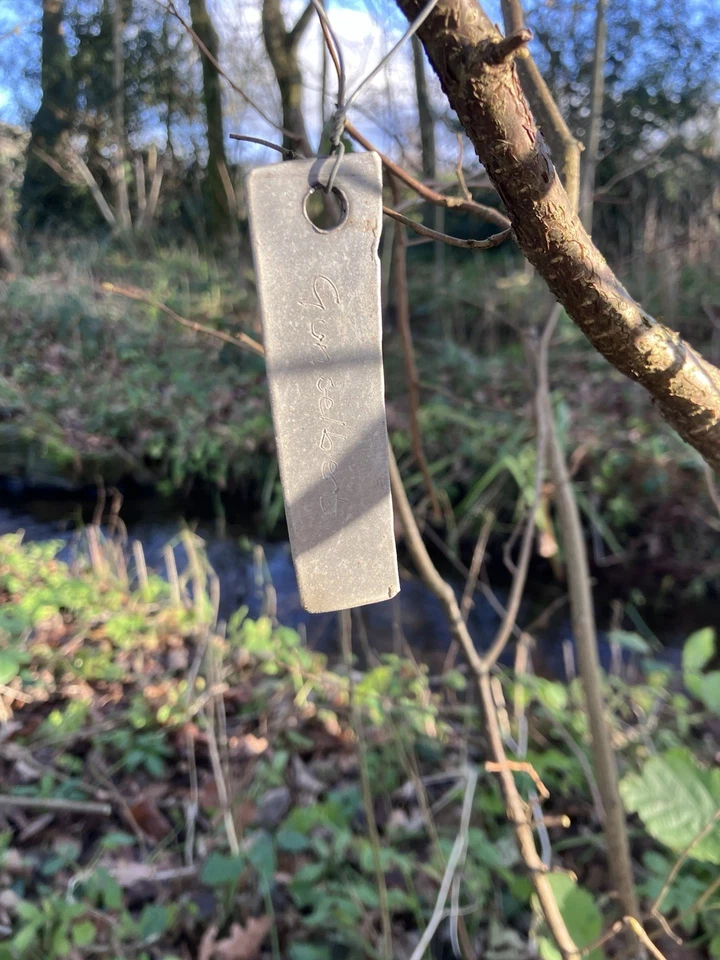 0.5ha Woodland. Yorkshire Dales National Park. Alder, Oak, Rowan, Holly, Hazel. - Image 4 of 4