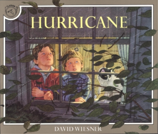 David Wiesner Hurricane (Tascabile)