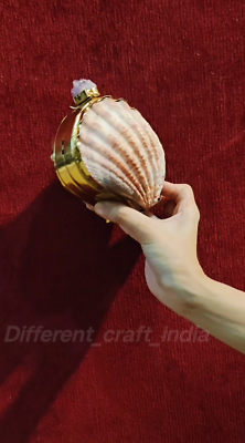 Rael Red Scallop Seashell Clutch Purse | Mermaid Mother of pearl