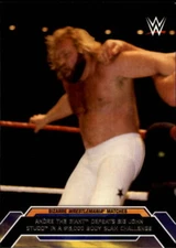 2015 Topps WWE Road to Wrestlemania Insert/Parallel Singles (Pick Your Cards)