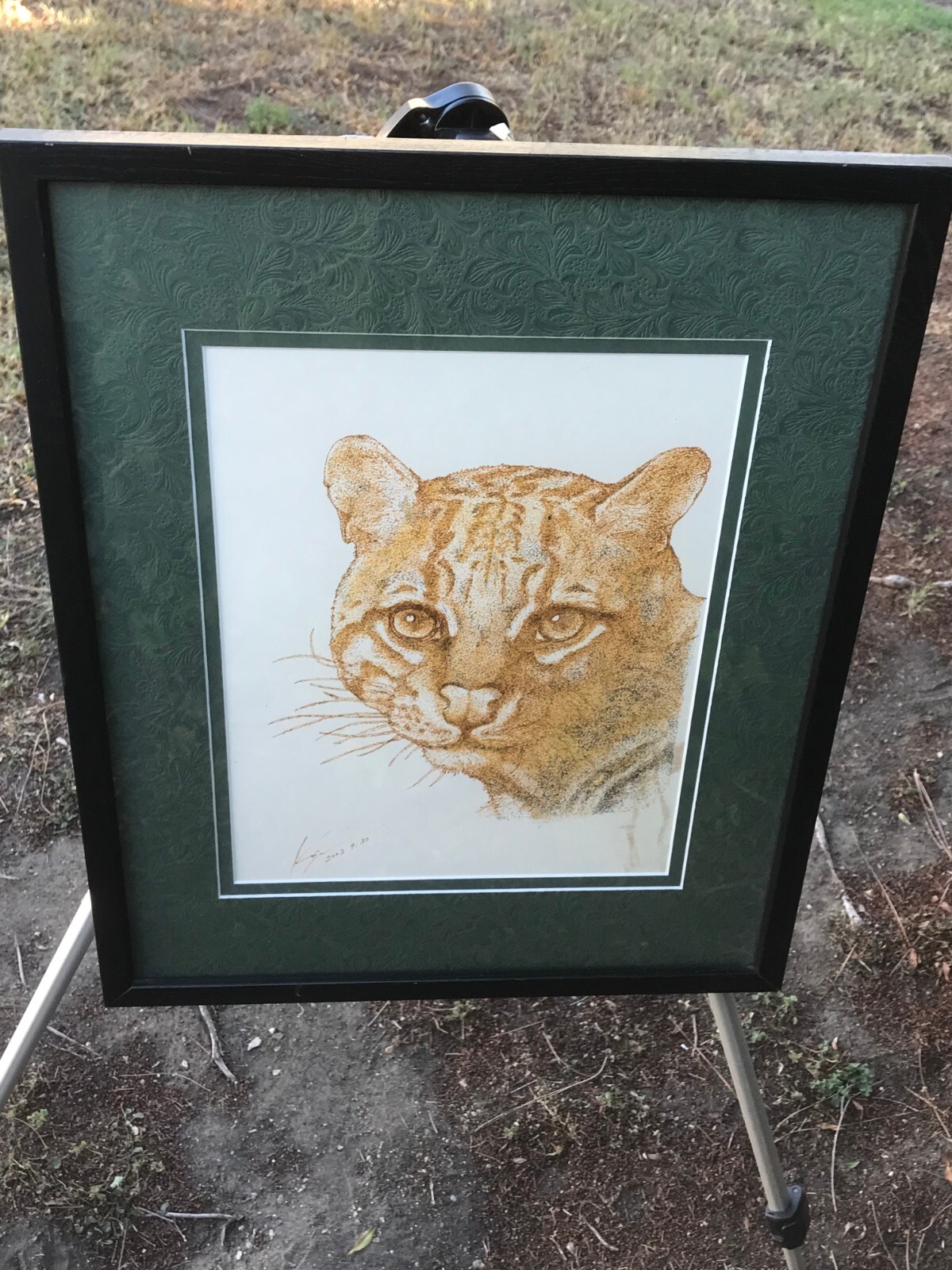 Picture 5 of 12