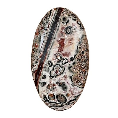 Natural Leopard Skin Jasper 28.75x16.1x5 mm Oval Polished Gemstone LS02019-30