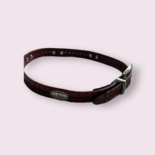 Brighton leather western belt with buckle size S cowgirl rodeo