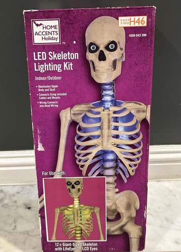 12 Foot Skeleton