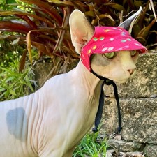 Cat Hat Red Sunglasses - Cap Brim Bonnet Sun Summer Baseball Photo Prop Clothes