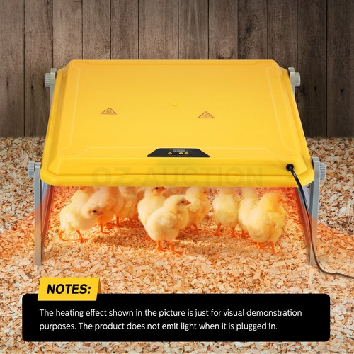 Chick Brooder Heating Plate Warmer Chicken Coop Brooding Heater Poultry Duckling - Picture 30 of 61