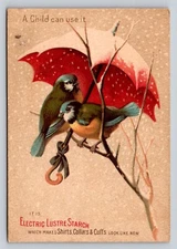 Electric Lustre Starch Anthropomorphic Bird Umbrella Snow A R Dawley Rome  P816