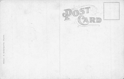 Postcard FX: Smyrna (Izmir), Camels of Bournabat, 1910's, Turkey - Picture 2 of 2