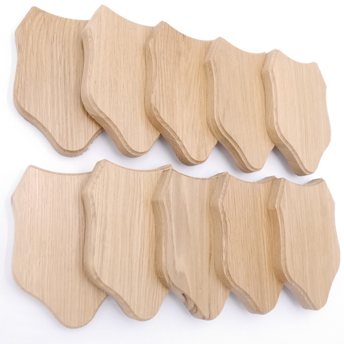 GTK 10x Reh Trophäenschilder Stumpf Eiche Dunkel - Jagdschilder Mit Gehörnklammern